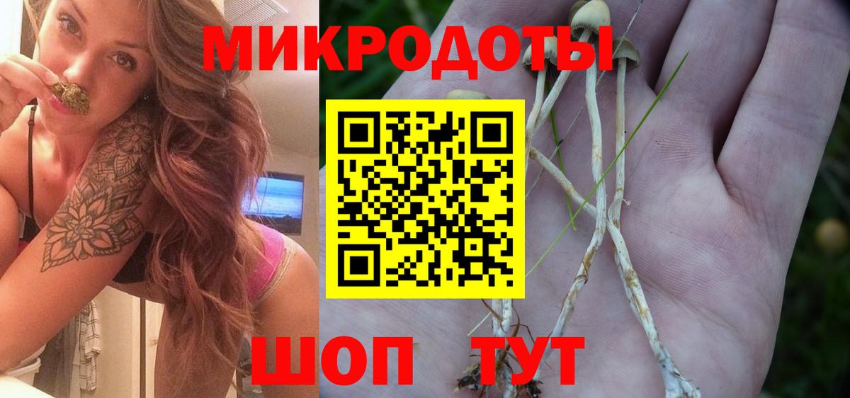 Псилоцибиновые грибы мухоморы Сердобск
