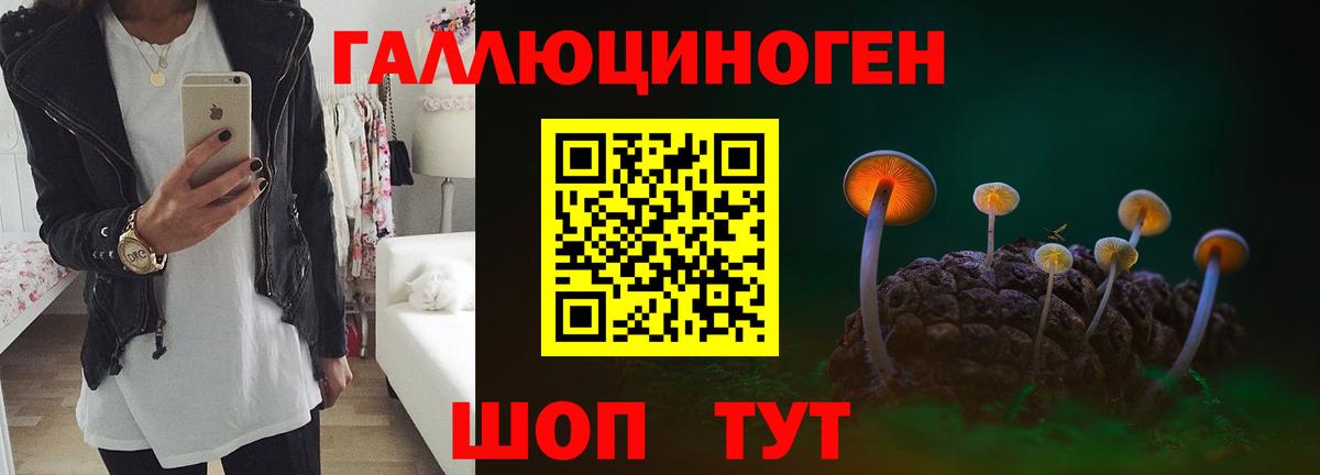 Галлюциногенные грибы мицелий  Вход с VPN  Псилоцибиновые грибы ЛСД  купить закладку  Сердобск 